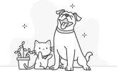 Animale de companie